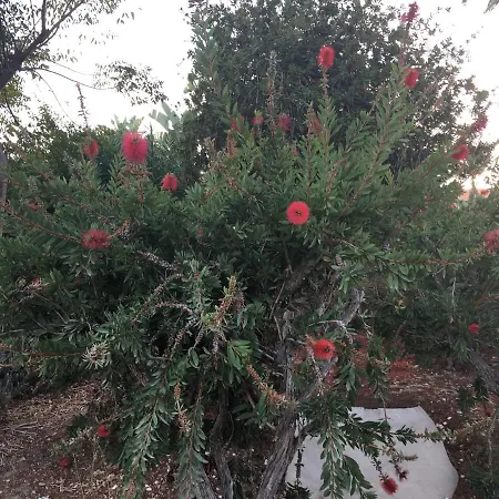 Vacations Διαμέρισμα